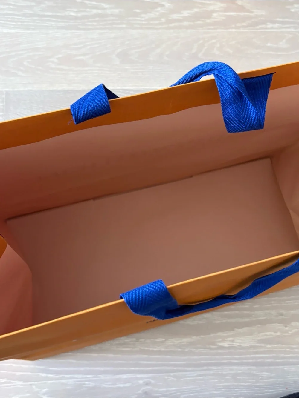 Louis Vuitton Medium Large Shopping Gift Bag